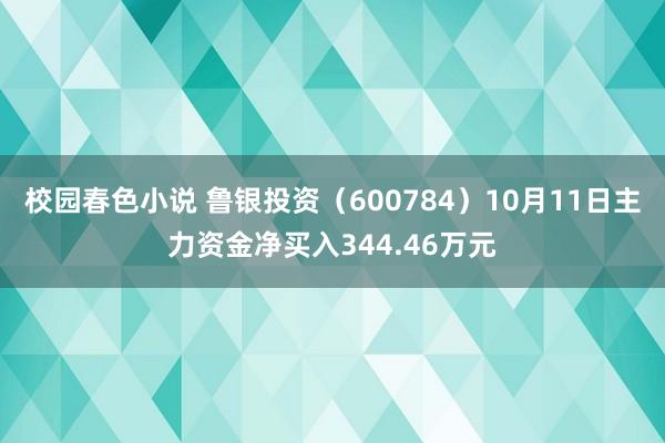 校园春色小说 鲁银投资（600784）10月11日主力资金净买入344.46万元