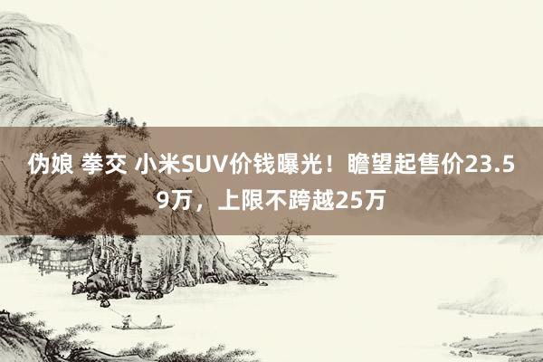 伪娘 拳交 小米SUV价钱曝光！瞻望起售价23.59万，上限不跨越25万