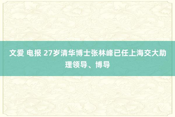 文爱 电报 27岁清华博士张林峰已任上海交大助理领导、博导