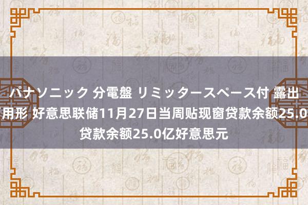 パナソニック 分電盤 リミッタースペース付 露出・半埋込両用形 好意思联储11月27日当周贴现窗贷款余额25.0亿好意思元