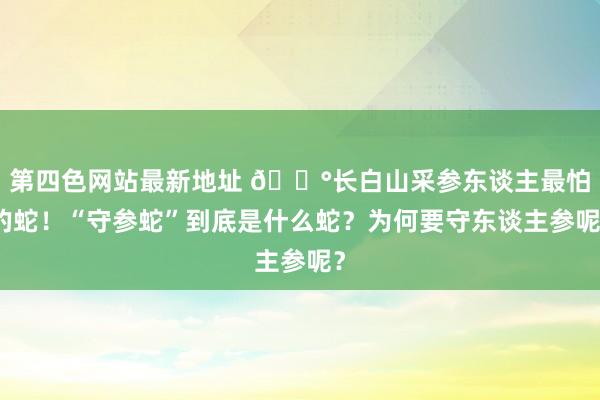 第四色网站最新地址 🐰长白山采参东谈主最怕的蛇！“守参蛇”到底是什么蛇？为何要守东谈主参呢？