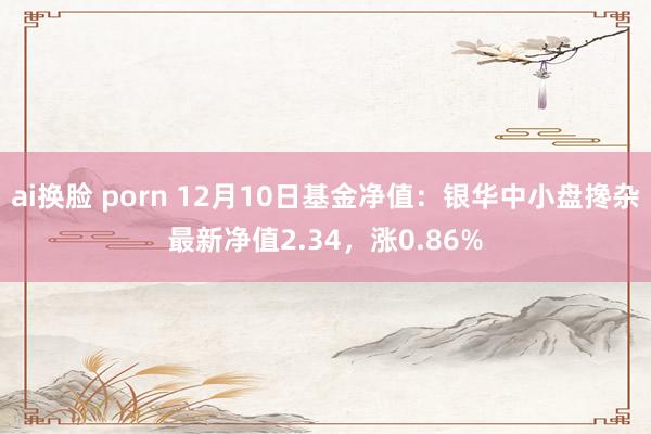 ai换脸 porn 12月10日基金净值：银华中小盘搀杂最新净值2.34，涨0.86%