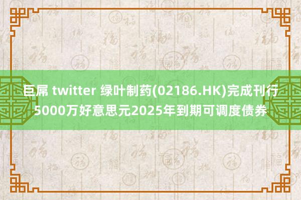 巨屌 twitter 绿叶制药(02186.HK)完成刊行5000万好意思元2025年到期可调度债券