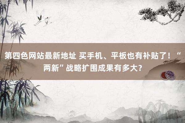 第四色网站最新地址 买手机、平板也有补贴了！“两新”战略扩围成果有多大？