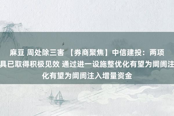 麻豆 周处除三害 【券商聚焦】中信建投：两项货币战术器具已取得积极见效 通过进一设施整优化有望为阛阓注入增量资金