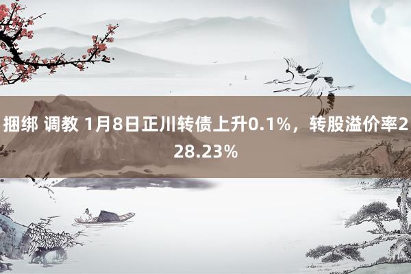 捆绑 调教 1月8日正川转债上升0.1%，转股溢价率228.23%