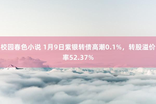 校园春色小说 1月9日紫银转债高潮0.1%，转股溢价率52.37%