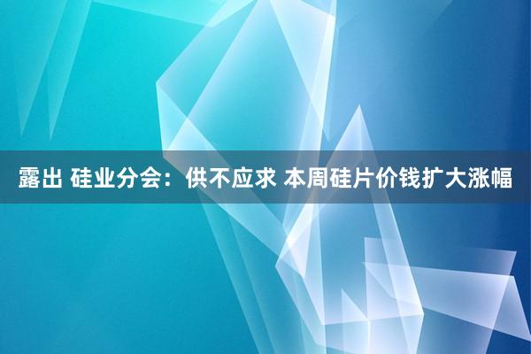 露出 硅业分会：供不应求 本周硅片价钱扩大涨幅