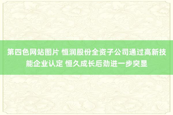 第四色网站图片 恒润股份全资子公司通过高新技能企业认定 恒久成长后劲进一步突显