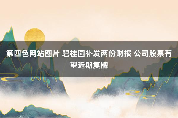 第四色网站图片 碧桂园补发两份财报 公司股票有望近期复牌