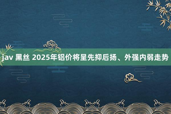 jav 黑丝 2025年铝价将呈先抑后扬、外强内弱走势