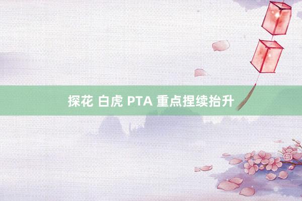 探花 白虎 PTA 重点捏续抬升