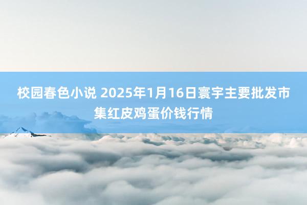 校园春色小说 2025年1月16日寰宇主要批发市集红皮鸡蛋价钱行情